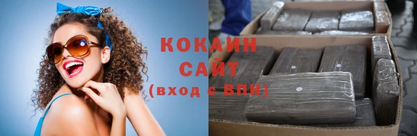 соль ск Козельск