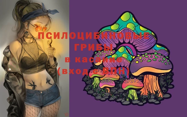бошки Козловка