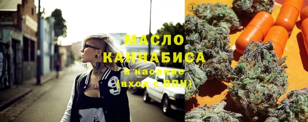 соль ск Козельск